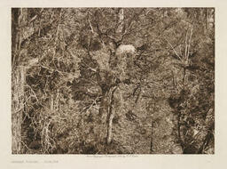 Infant Burial - Apache: 