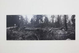 Stanley Park