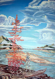 The Steward of Desolation Bay