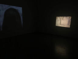 River (generation 1), installation view