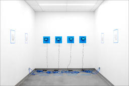 Attempts at Invading Machine Learning System, Installation 2021