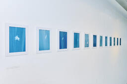 Phototaxis 1-12