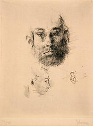 Studies 80
