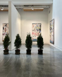 Lady's Playground (installation view)