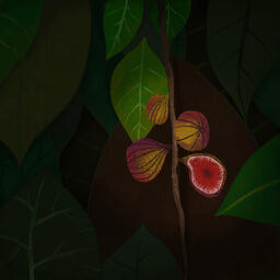 Fig, style exploration: End result