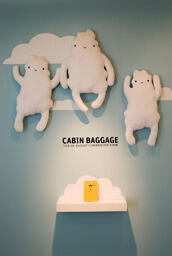 Cabin Baggage: The In-Flight Companion Book