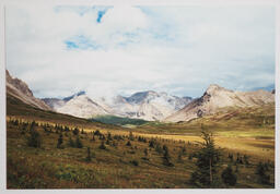 Landscapes Are Boring