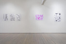 Install View of B(r)east