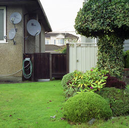 "Dishes and Shrubs" from the series "Landschap"