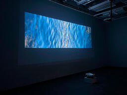 The Memory of Water II