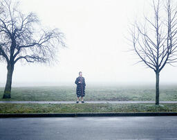 Life and Time of Jonathan Lee