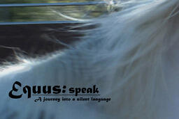 Equus: Speak. A journey into a silent language.