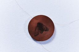 Interconnections I, insect node detail