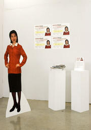 Installation view