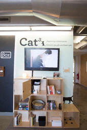 Cat3