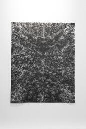 Ego Shroud