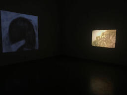 River (generation 1), installation view
