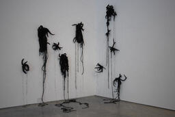 Between an Ecology and the Object