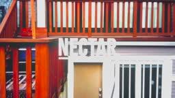 NECTAR - Networked Entities Collaborating Through Autonomous Renderings: 